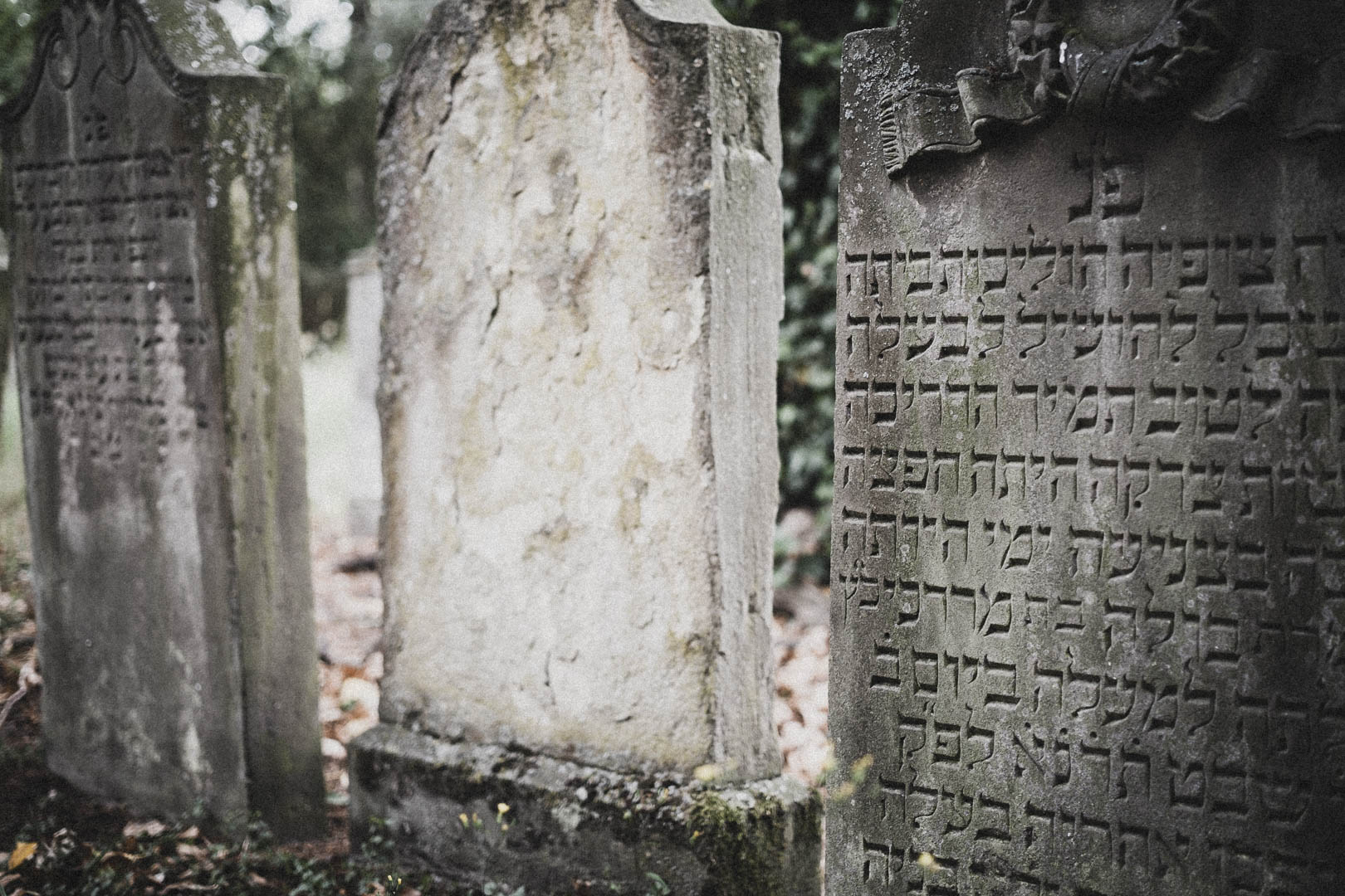 Rheda Wiedenbrück 0505